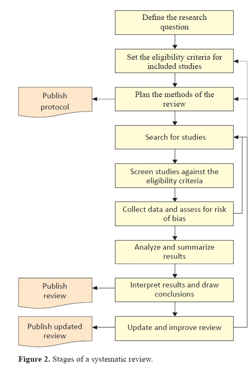 research proposal systematic review example